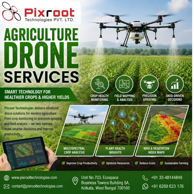Professional Agriculture Drone Services for Crop Health Analysis